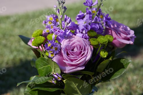 Preview: Bunch of colorful flowers with green leaves at the Garden