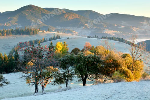 Preview: Frosty morning at Krasnik village area, Carpathian Mountains, Ivano-Frankivsk region, Ukraine