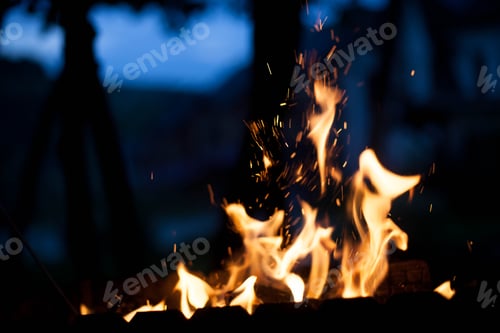 Preview: fire in the street. The concept of nature.