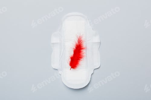 Preview: Women hygiene products or Sanitary pad with red feather on colored background.
