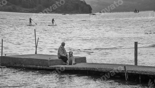 Preview: Grayscale shot of a man sitting on a concrete dock with his dock and admiring the view of the sea