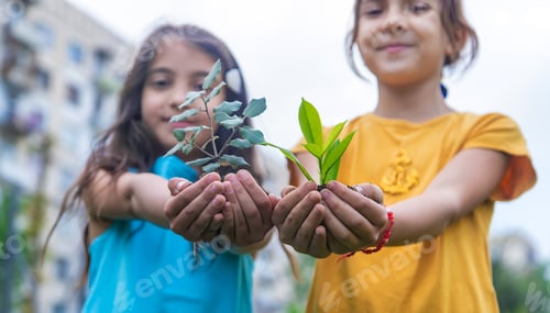 Preview: The child holds the plant and soil in his hands. Selective focus.