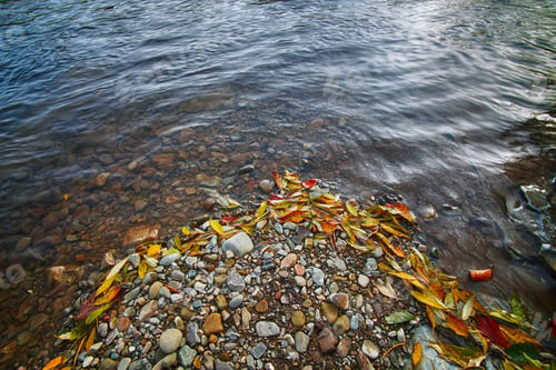 Preview: rocky shore of the river