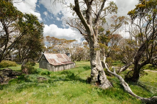 Preview: Wallace Hut near Falls Creek in Australia