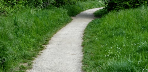 Preview: Winding gravel path through grassy field