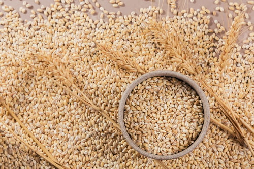Preview: Organic uncooked pearl barley top view