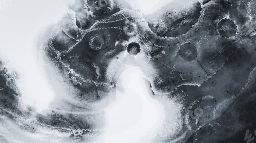 Preview: Winter animal traces on melting ice on the river