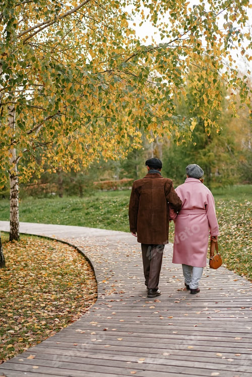 Preview: an elderly couple who have lived together for 50 years are walking in the park, on a cloudy autumn d