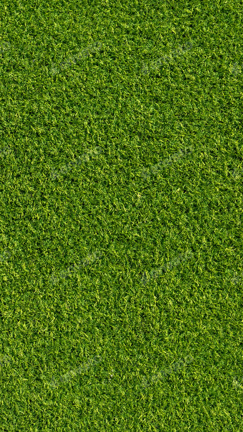 Preview: Artificial grass carpet background.