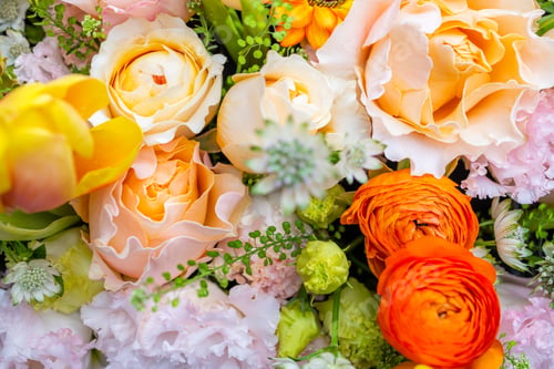 Preview: Set of flower box with different flower