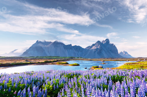 Preview: Famous Stokksnes mountains