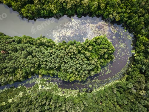 Preview: Small river and forests. Aerial view of wildlife in Poland