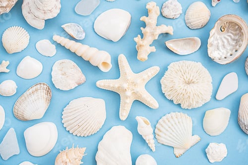 Vista previa: Patrón veraniego marítimo. Conchas marinas, estrellas de mar, coral, varios diseños de playa
para encontrar.