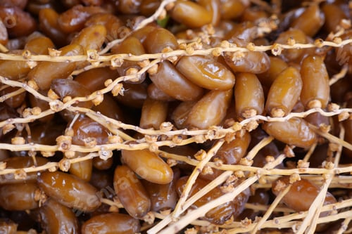 Preview: CloseUp of Fresh Ripe Dates with Stems Intact, showcasing their wholesome and nutritious nature