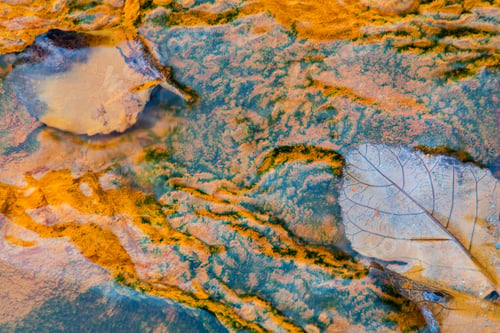 Preview: Leaves in flow of river with minerals