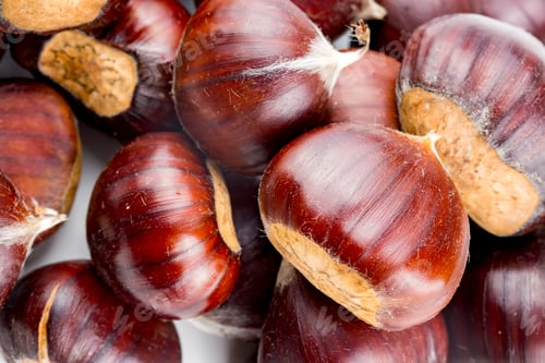 Preview: Raw Chestnuts for Christmas. Fresh sweet chestnut. Castanea sativa top wiew. Food background.