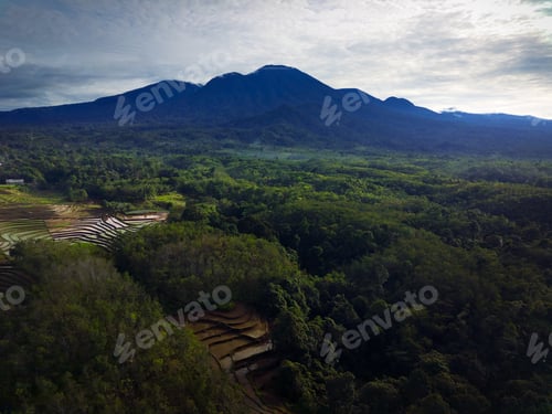 Preview: Indonesian morning view, green tropical forest and bright sunrise over the mountain