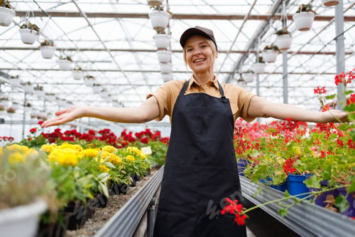 Preview: Female gardener in a flower greenhouse greets with outstretched arms