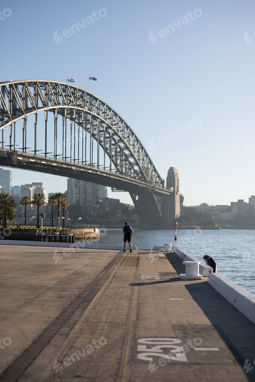 Preview: Bridge