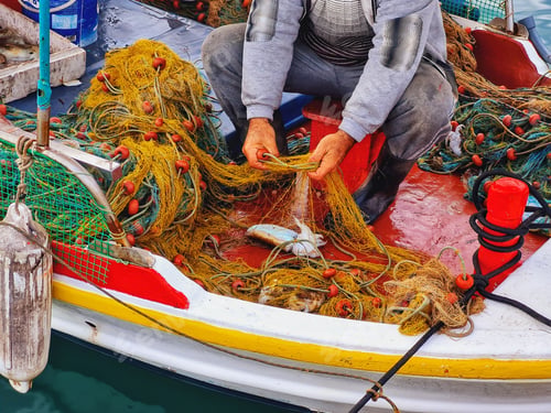 Preview: Male fisherman in the boat holding a fishing net and collecting the catch of the day