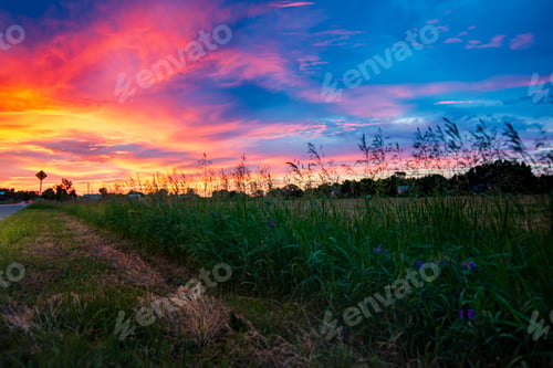 Preview: Beautiful field of grass with a rainbow colored sunset sky
