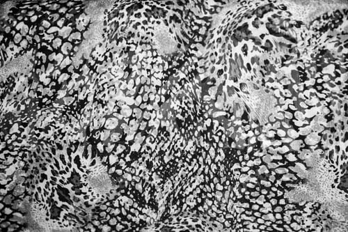 Preview: Snake textured print on the fashion material. Trends of the year.