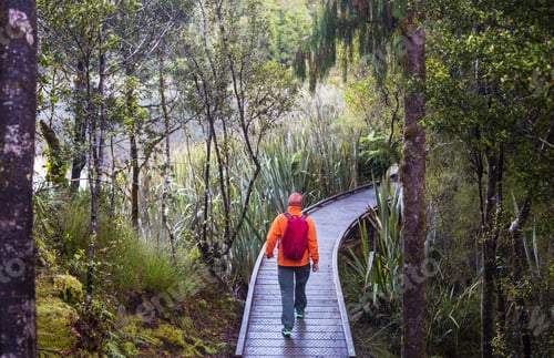 Preview: Tramping