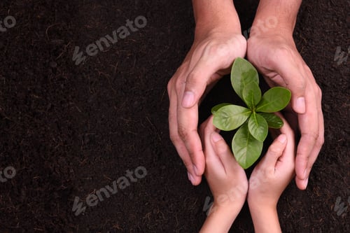 Preview: Hands protect Plant