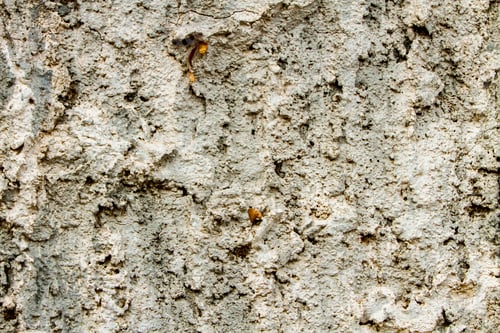 Preview: Old srucco wall