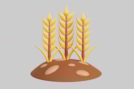 Aperçu: Épis de blé posés sur un tertre