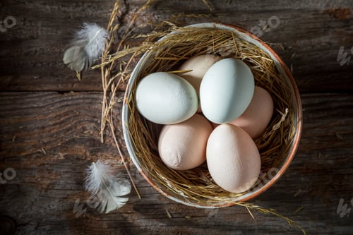 Preview: Ecological free range eggs with hay. Eggs from free range.