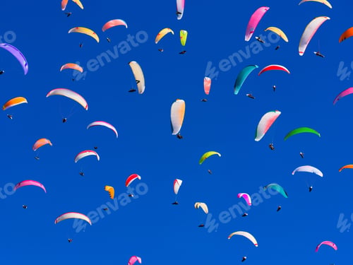 Preview: Team paragliding training. Extreme sports. Parachute flight. Sports competition.
