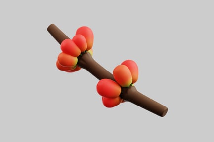 Preview: Coffee beans on branch retail