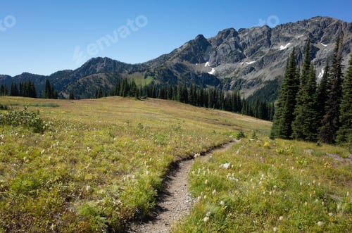 Preview: Alpine meadows of the Pacific Crest Trail