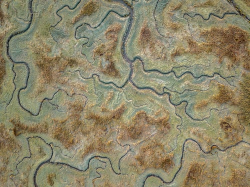Preview: Aerial view of tidal marshland