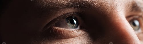 Preview: close up view of human grey eyes looking away in dark, panoramic shot