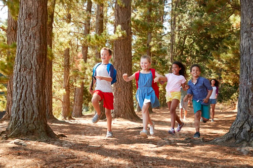Preview: Children Running Ahead Of Parents On Family Hiking Adventure