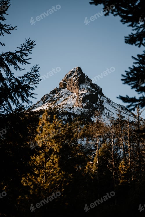 Preview: Mountain surrounded by lush trees under a clear blue sky on a sunny day