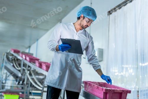 Preview: supervisor in protective gear, inspecting fish in a pink crate fish sea food.