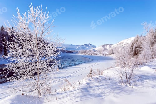Preview: Winter snowy landscape by a river , Russia, Siberia Altai