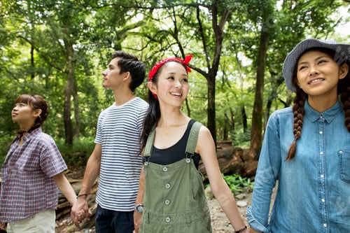 Preview: Group of friends at an outdoor party in a forest.