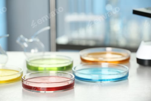Preview: Petri dishes with liquid samples on table. Laboratory analysis