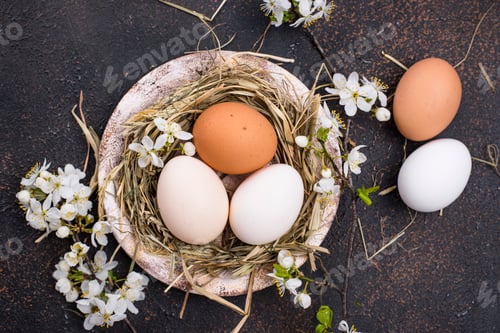 Preview: Easter composition with eggs and blooming branch