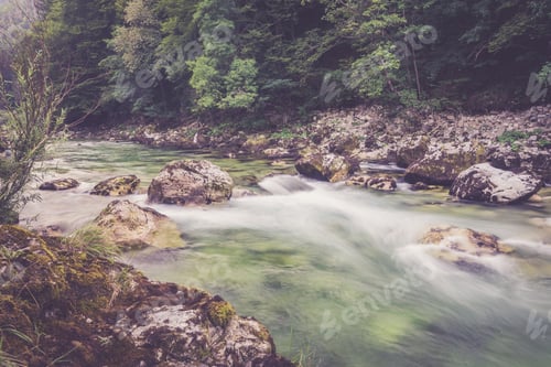 Preview: Mountain river in the green forest