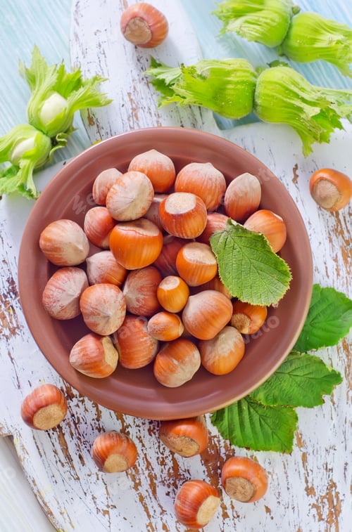 Preview: hazelnuts