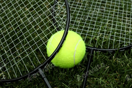 Preview: Badminton rackets and tennis ball on green grass