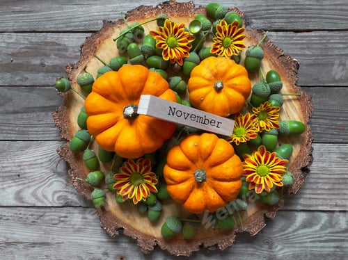 Preview: Autumn Still Life with Pumpkins and Acorns