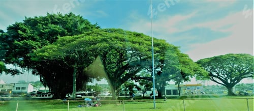 Preview: National Arbor Day is the last Friday in April (April 27th) and a holiday in which individuals &