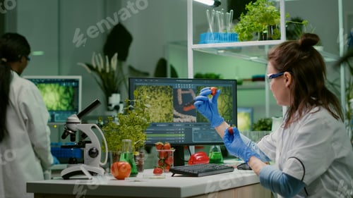 Preview: Scientist researcher injecting strawberry with pesticides