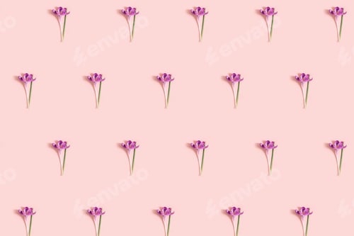 Preview: Pattern from crocus flowers